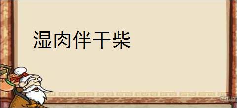 湿肉伴干柴