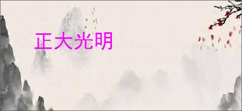 正大光明