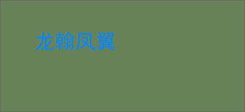龙翰凤翼