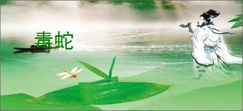 毒蛇