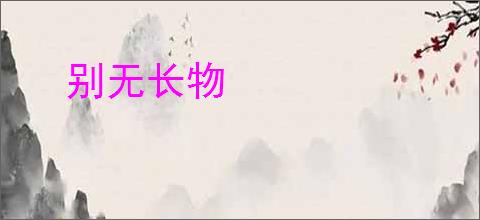 别无长物