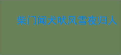 柴门闻犬吠风雪夜归人