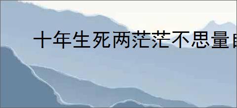 十年生死两茫茫不思量自难忘