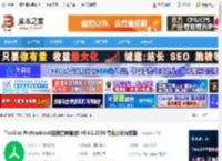 TreeSize中文破解下载 TreeSize Professional(磁盘空间管理) v9.6.1.2156 专业汉化绿色版 下载-脚本之家