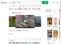 天天下雨鞋带上长出了绿芽_360搜索