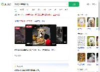 宠物狗坐宝宝椅吃饭_360搜索