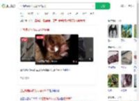 巴西蝙蝠体内发现冠状病毒_360搜索