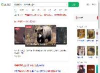 被黑熊撕咬三四分钟装死逃生_360搜索