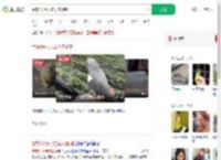 悬赏3千元寻走失灰鹦鹉_360搜索