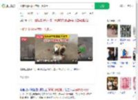小狗沉迷捡瓶子存款一万多元_360搜索
