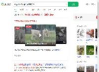 秦皇岛动物园遇猛虎惊魂实录_360搜索