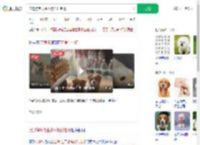 流浪狗乞食生小狗托付老板_360搜索