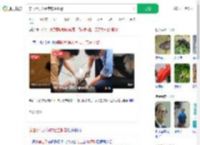 穿山甲误入闹市店主报警_360搜索