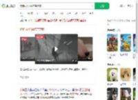 狗狗雨天叼雨布盖芝麻_360搜索