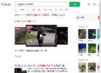 扬子鳄追击黑鱼被意外钓起_360搜索