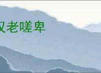 王于兴师肉盾张巡刀玩法搭配分享 - 逗游网
