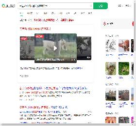 秦皇岛动物园遇猛虎惊魂实录_360搜索