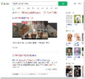 流浪狗乞食生小狗托付老板_360搜索