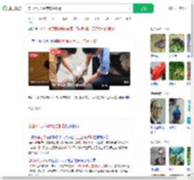 穿山甲误入闹市店主报警_360搜索