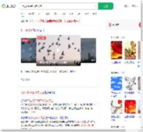 8万羽和平鸽飞向天空_360搜索