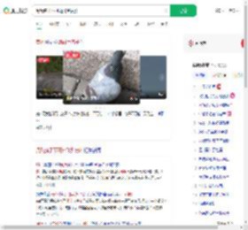 阅兵鸽子不可能飞到贵州_360搜索