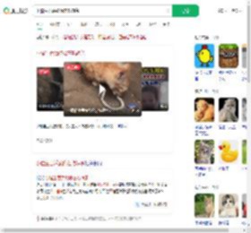 小猫生吞活蛇像在吃辣条_360搜索