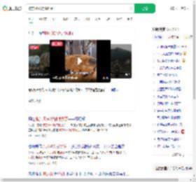 被东风5C烧饼馋到了_360搜索