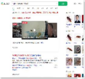 谎称吃出蟑螂敲诈11家餐馆_360搜索
