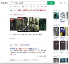 四川一男子在林中发现剑阵_360搜索