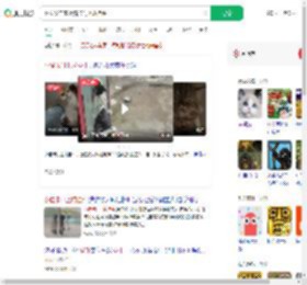 网友发自家小猫卡门上成挂件_360搜索