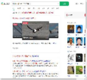 东北网友拍下燕子滞留未南飞_360搜索