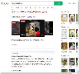 宠物狗坐宝宝椅吃饭_360搜索