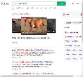 男子买马一觉醒来1匹变2匹_360搜索