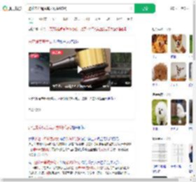 避让未牵绳贵宾犬致9级伤残_360搜索