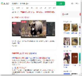 被黑熊撕咬三四分钟装死逃生_360搜索