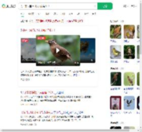 男子非法捕捉14只画眉鸟获刑_360搜索